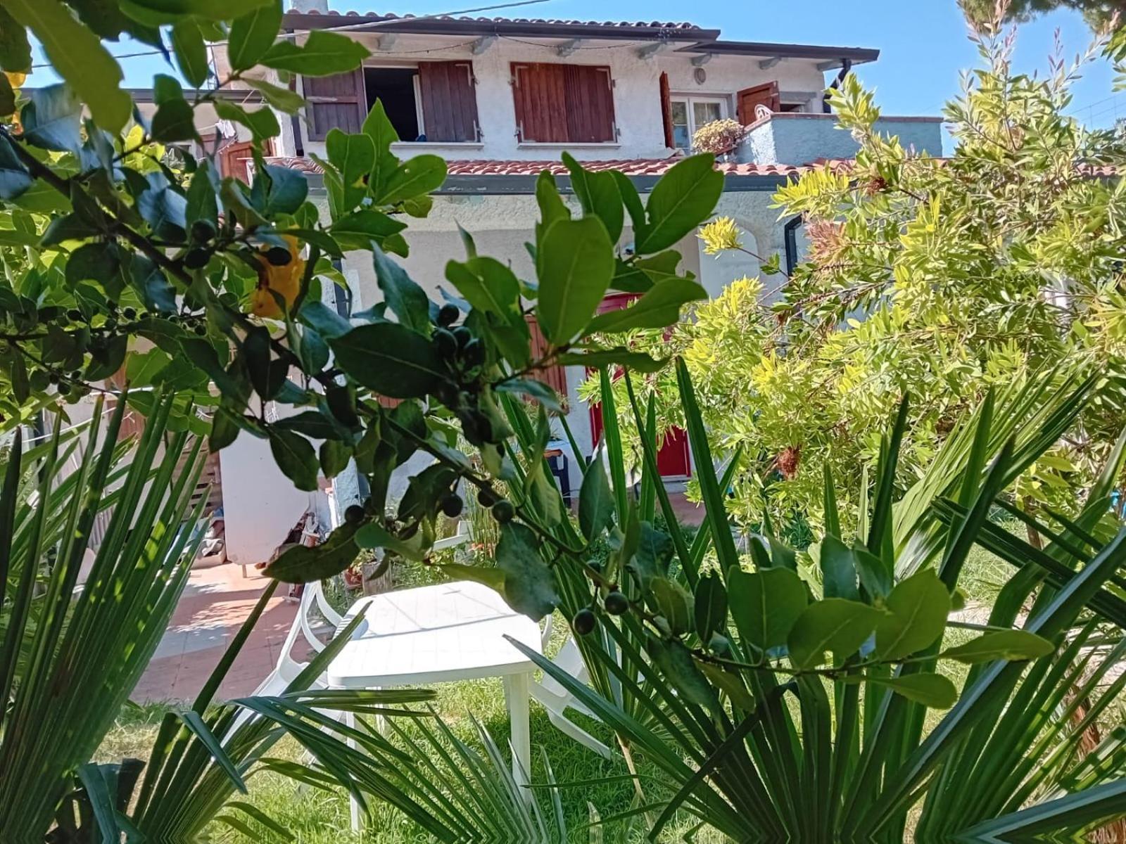 Sogno Vacanze Apartamento Massa  Exterior foto